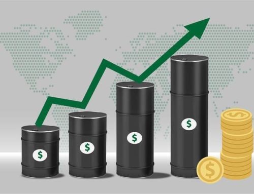 Surviving the Global Oil Price Hike