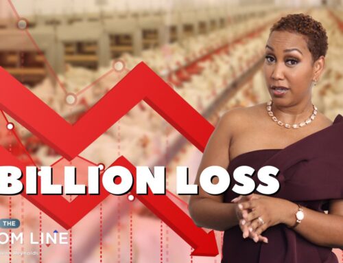 What’s going on at Jamaica Broilers?