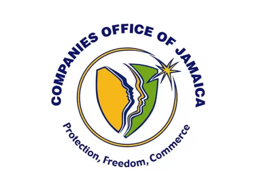 Level Up Your Business!